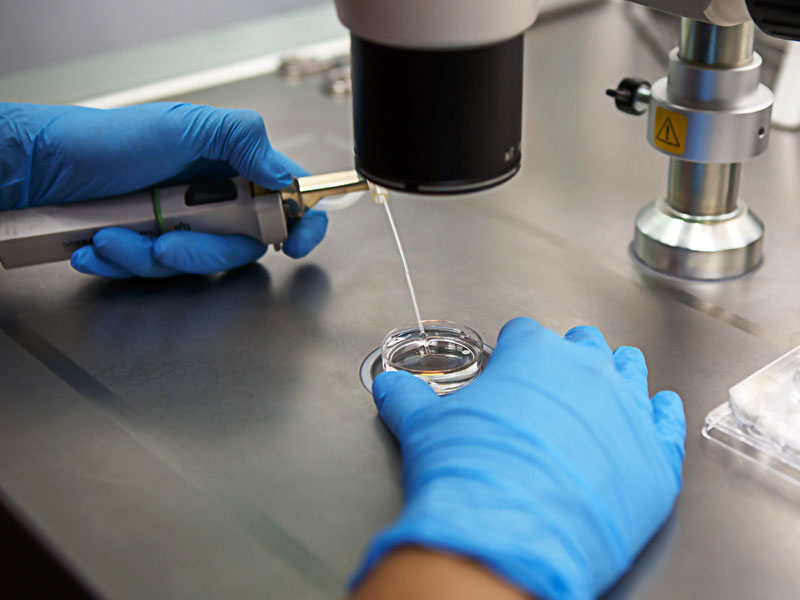 Hearing Today in Lawsuit Against Pasadena Fertility Clinic
