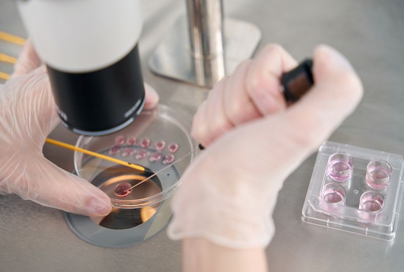 Embryologist places the embryos in a special straw for vitrification