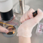 Embryologist places the embryos in a special straw for vitrification, he uses special equipment