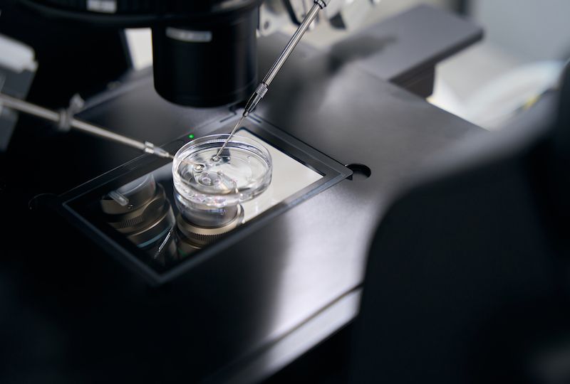 Modern biotechnology of fertilization using a micromanipulator in laboratory