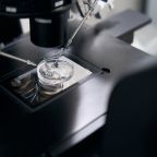 Modern biotechnology of fertilization using a micromanipulator in a specialized laboratory, using a powerful microscope