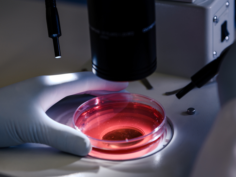 White Couple in Shock After Giving Birth to Black Baby in Embryo Mixup That Exposed How IVF Industry Lacks Accountability